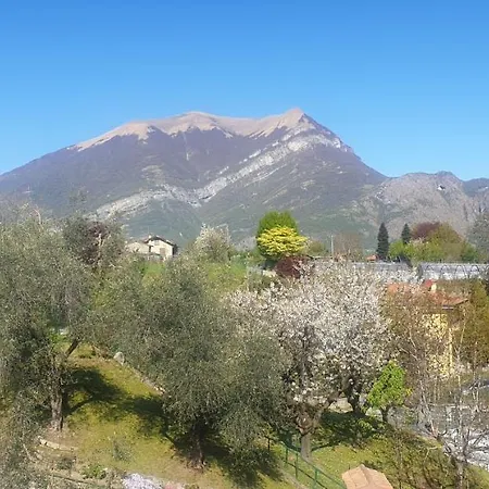 Rotonda